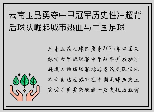 云南玉昆勇夺中甲冠军历史性冲超背后球队崛起城市热血与中国足球